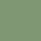 Керамогранит Моноколор 4 Зеленый неглазурованный 60x60