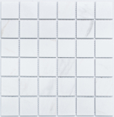PR4848-32 Мозаика Porcelain Белый 30.6x30.6