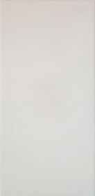 00-00-1-08-00-21-249 Плитка Мидаль Светлый 20x40