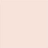 Плитка Satinados Salmon Mate 20 20x20