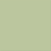 Плитка Satinados Verde Mate 20 20x20