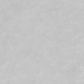 Керамогранит Орлеан Светло-серый 1