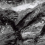 RP-116177 - фото 4