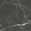 K950299R0001VTER - фото 2