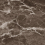 010100001557 - фото 5