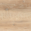 WN4T013 - фото 8