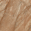 781182 - фото 1