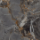 MOG502/PS_NC/60x120x9R/GW - фото 3