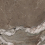 NTT9357DS - фото 2
