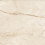 CAN5RAIFPDPA - фото 1