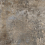 CAN5BRERODFA - фото 1