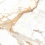 ENMAR7003MT60120 - фото 1