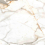 ENMAR7003MT60120 - фото 4