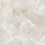 N20747 - фото 3
