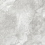 ZS612NTT9705M - фото 1