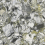 MML7261530 - фото 1