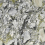 MML7261530 - фото 2