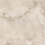 NTT9519AC - фото 10
