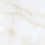 NTTVL99953D - фото 1