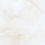 NTT99953D - фото 4