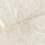 GT5010027202MSR - фото 1