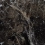 GRS 05-03 - фото 9