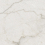 BM00/NS_R9/60x120x9R/GW - фото 1