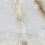 RDF1 - фото 5