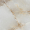 RDF1 - фото 10