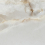 RDF4 - фото 1