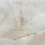 RDF4 - фото 3