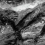 RP-116177 - фото 3