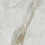 TP66M43 - фото 5