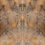 285001B - фото 2