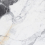 BS1001-B - фото 1