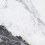 BS1001-B - фото 9