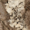 1278FD18 - фото 3
