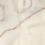 1227FD17 - фото 1