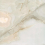 F918G10103 - фото 5