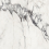 F918G10114 - фото 1