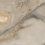 F918G10105 - фото 1