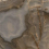 F918G10106 - фото 4