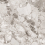 BA00/NS_R9/60x120x9R/GW - фото 1