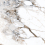 K949747LPR01VTE0 - фото 1