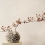 Keope Grace - фото 14