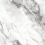 GFU6060GLP07R - фото 1