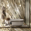 MON BL6 278 LP - фото 85