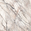 PF60017230 - фото 1