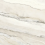 K951299FLPR1VTST - фото 2