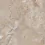 K949810FLPR1VTS0 - фото 1